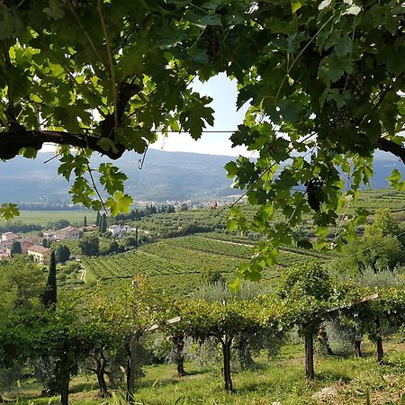 Agriturismo Valentina Cubi Fumane Ngoại thất bức ảnh