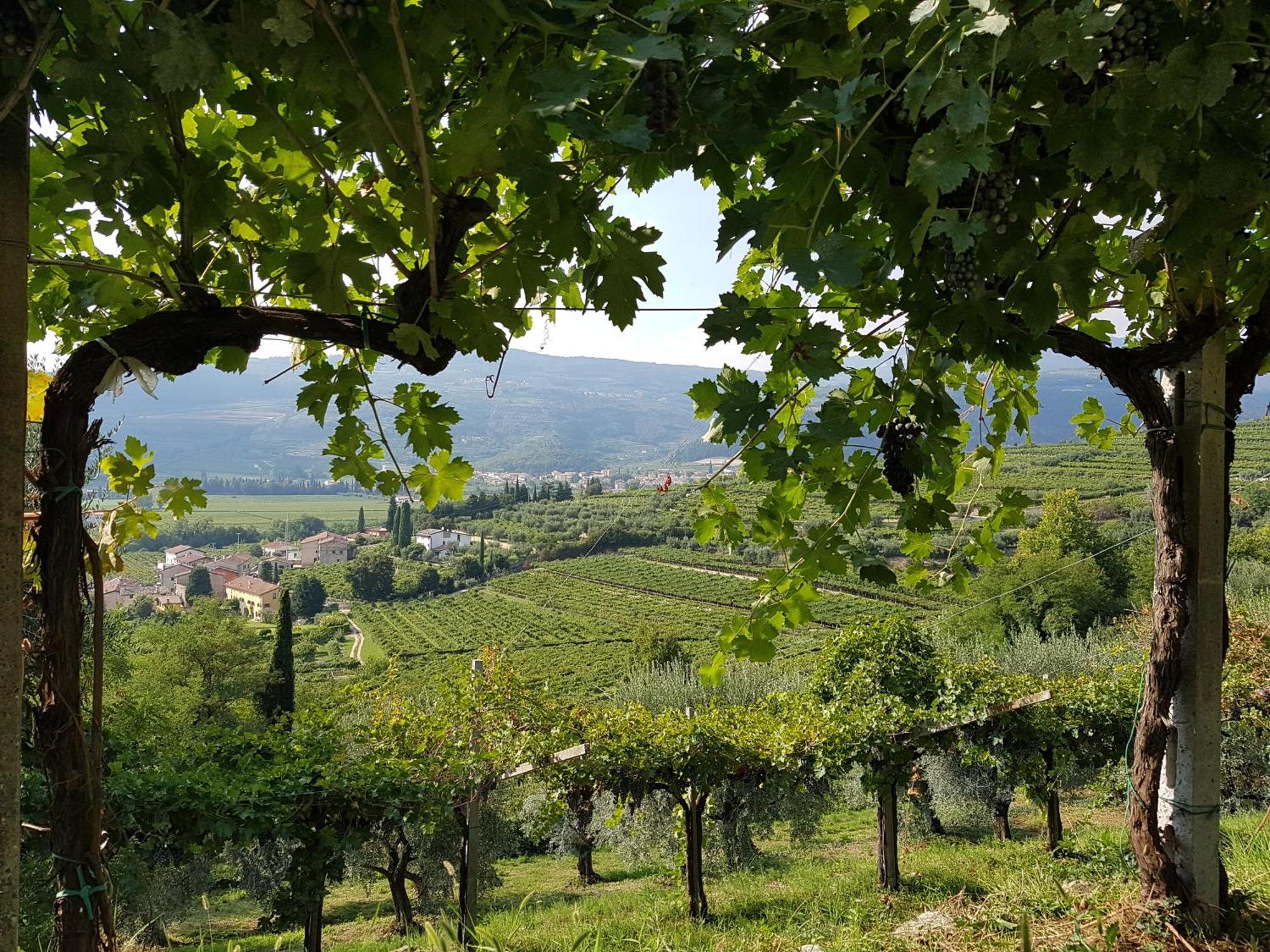 Agriturismo Valentina Cubi Fumane Ngoại thất bức ảnh