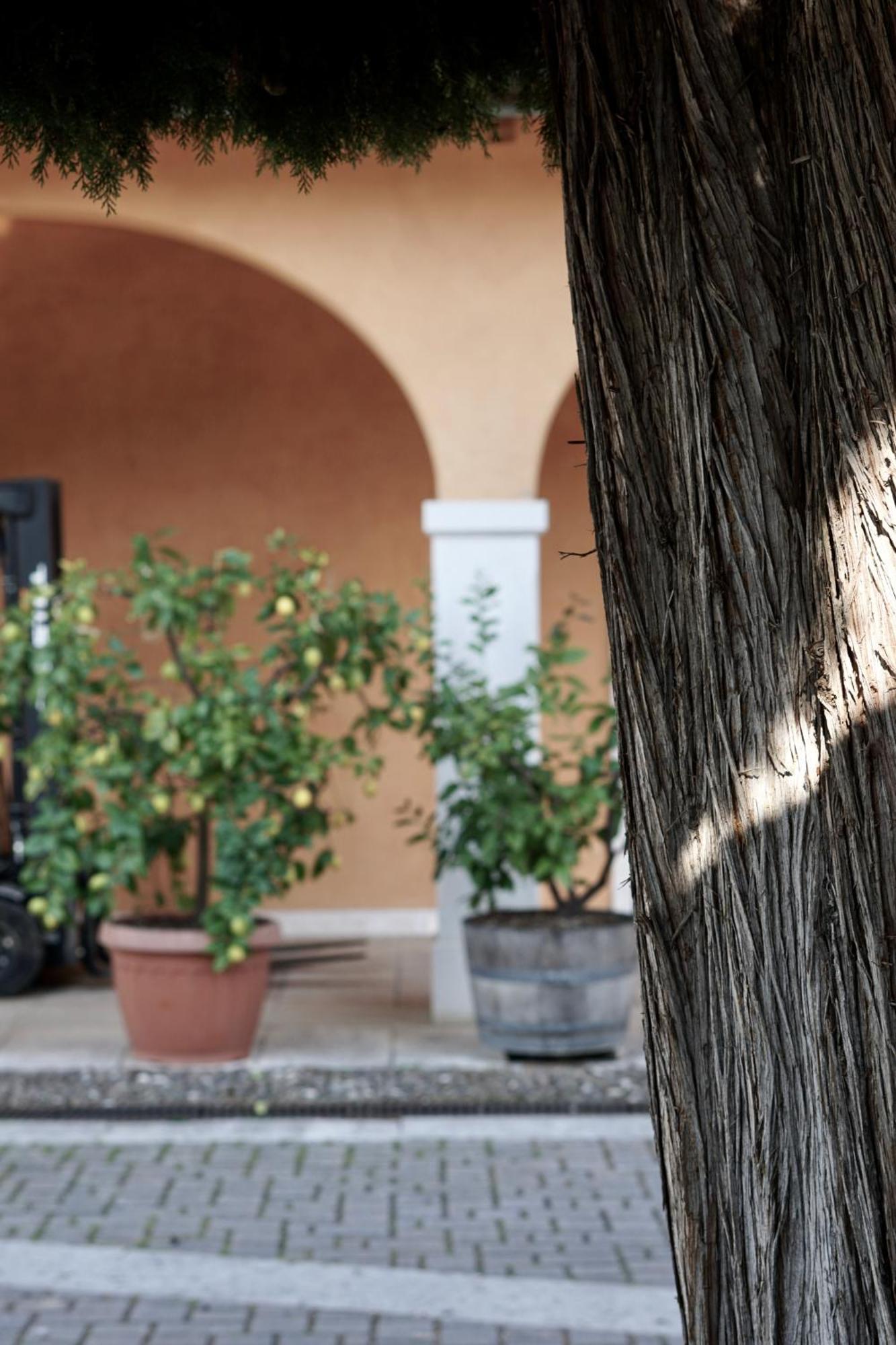 Agriturismo Valentina Cubi Fumane Ngoại thất bức ảnh