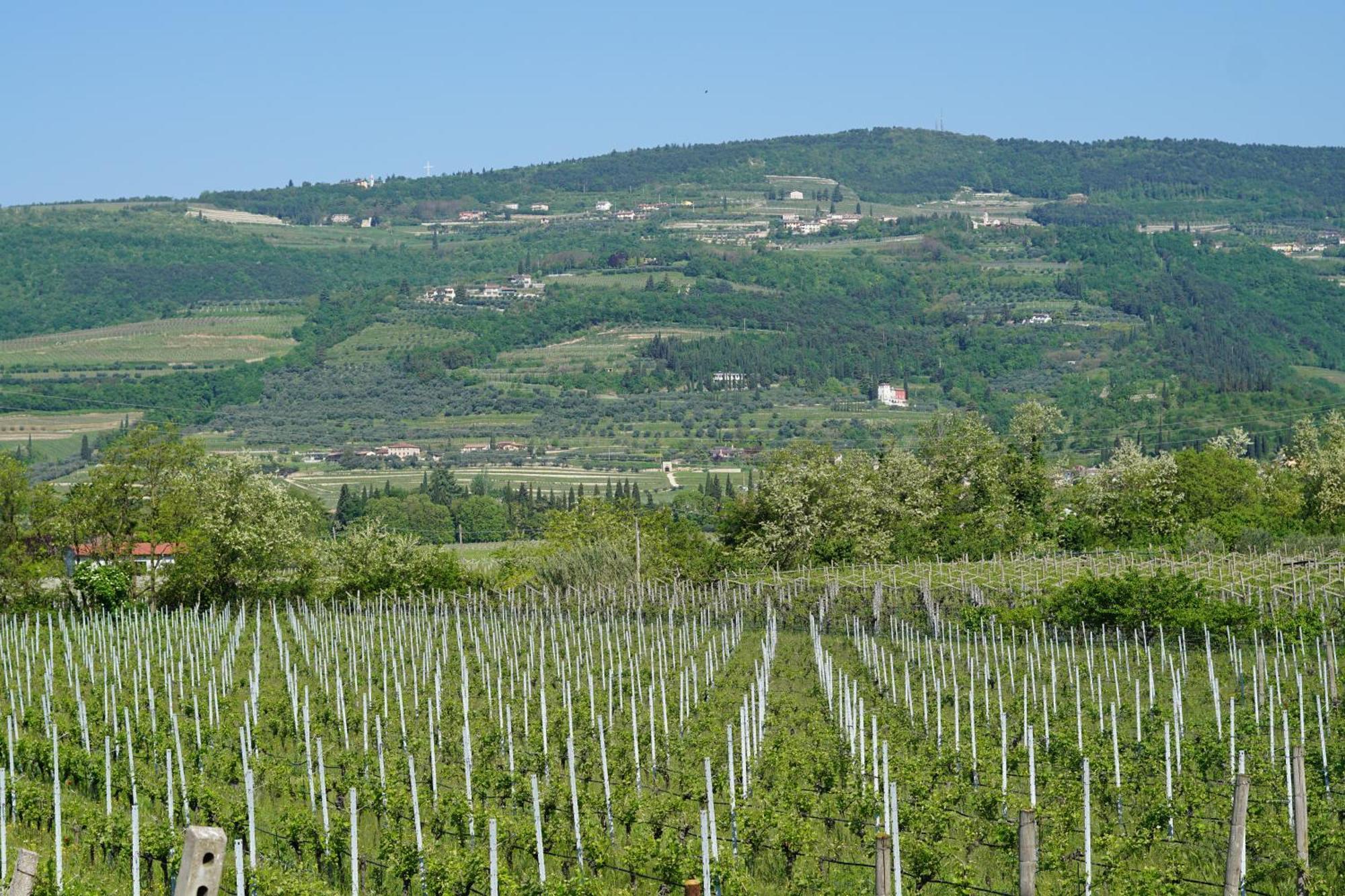 Agriturismo Valentina Cubi Fumane Ngoại thất bức ảnh